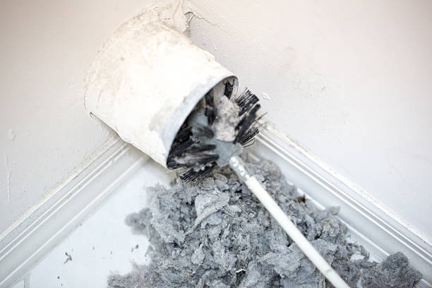 Best Air Duct Sanitizing Services  in Highspire, PA